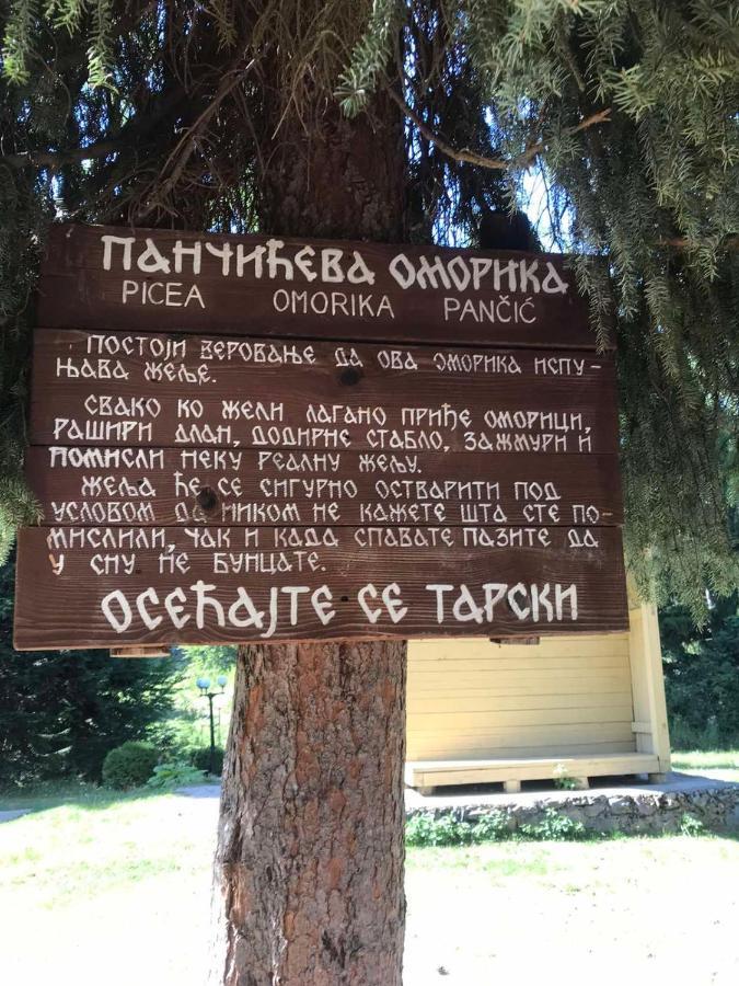Apartman Mendrea Konjska Reka Esterno foto
